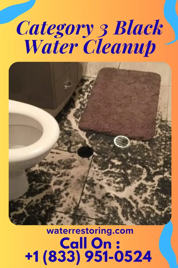 Category 3 Black Water Cleanup in Cleveland, MS