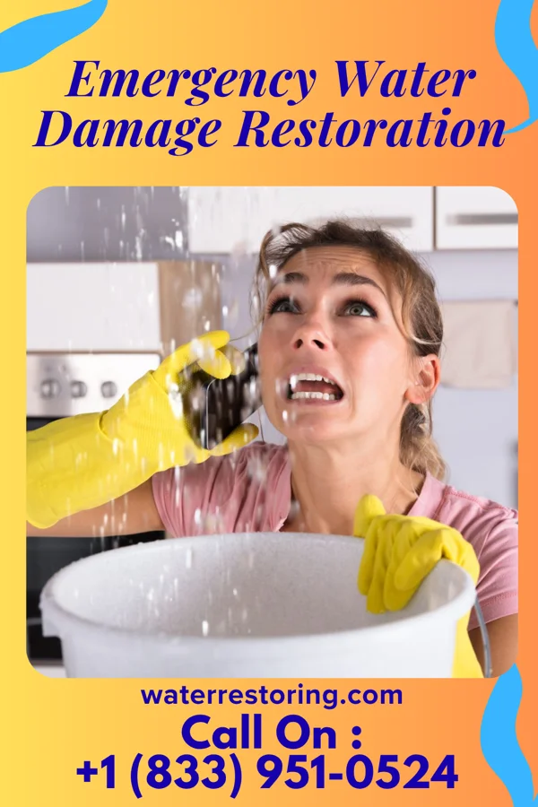 Emergency Water Damage Restoration in Cleveland, MS