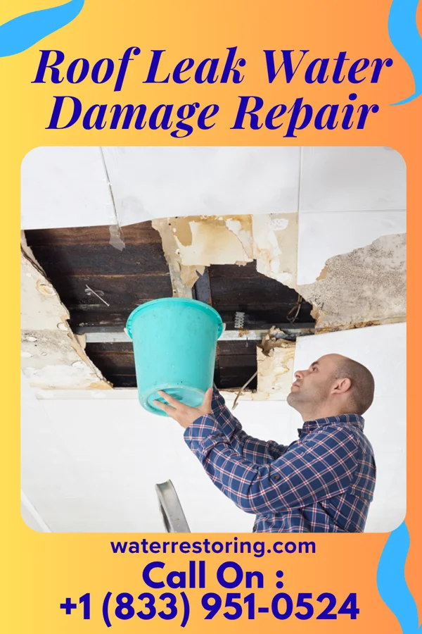 Roof Leak Water Damage Repair in Cleveland, MS